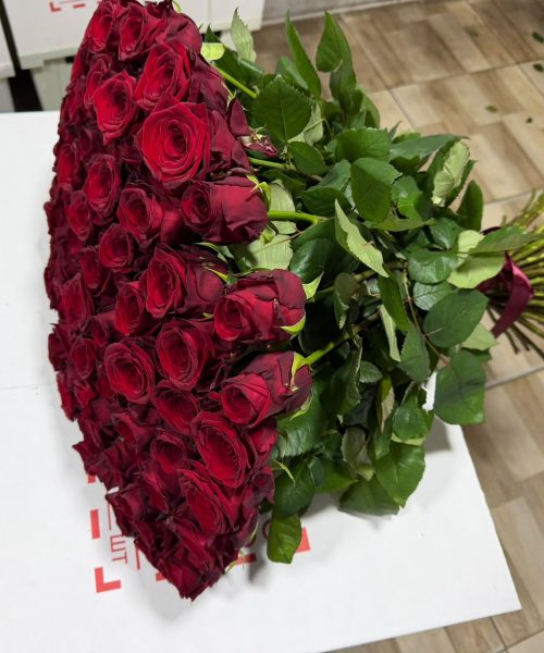 WhatsApp Image 2026-08-11 at 13.00.58 (2)
