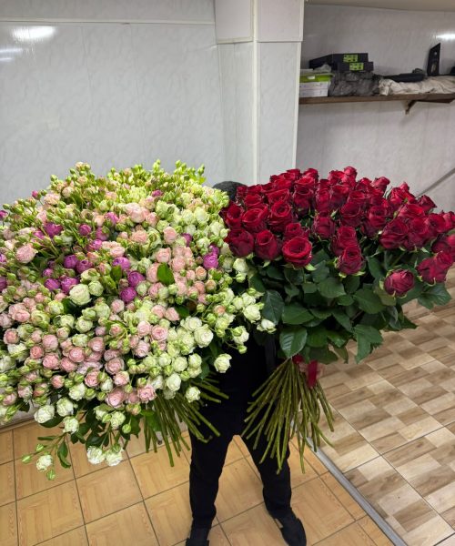 WhatsApp Image 2026-08-11 at 13.01.00 (1)