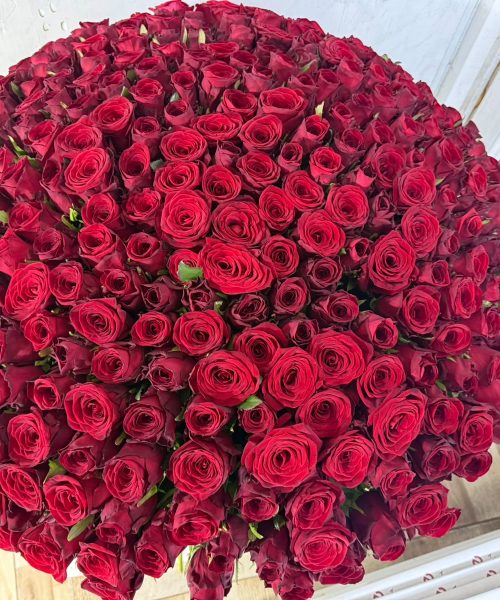 WhatsApp Image 2026-08-11 at 13.01.04 (2)